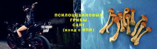 мяу мяу мука Балахна