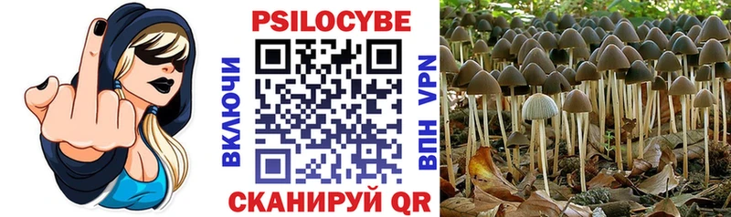 Псилоцибиновые грибы Magic Shrooms Уфа